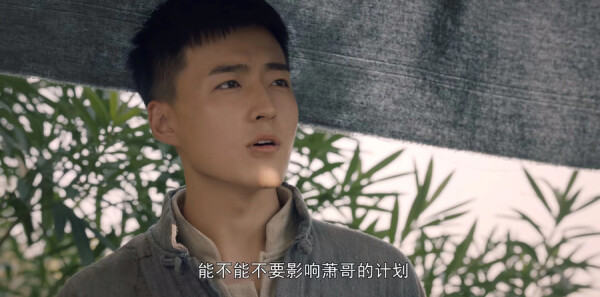 ����Ρ�Ƿּ��������