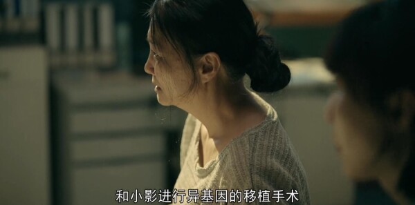 �װ���С���ּ��������