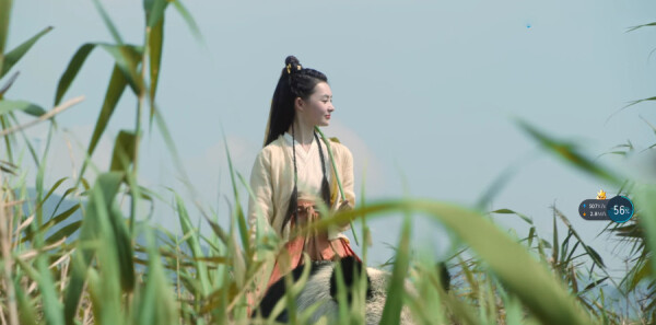 ѩ�к����зּ��������