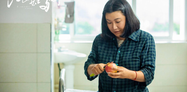 ��ɽ��˶ཿ�ּ��������