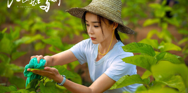 ��ɽ��˶ཿ�ּ��������