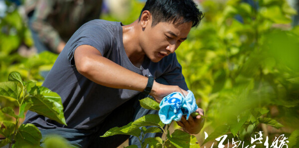 ��ɽ��˶ཿ�ּ��������