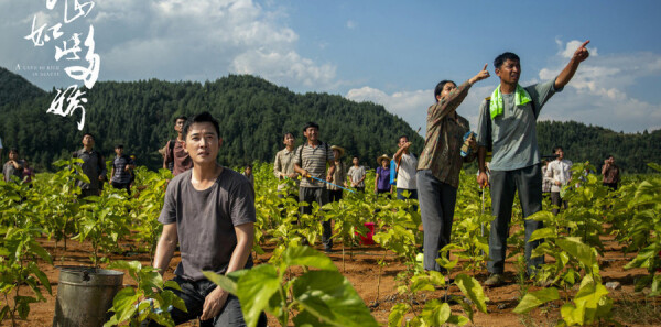 ��ɽ��˶ཿ�ּ��������