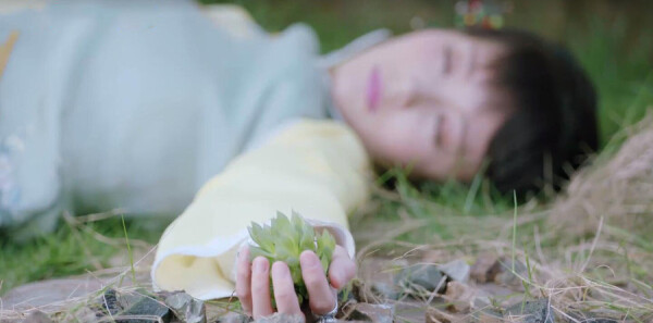 ���ľ�����֬͸�ּ��������