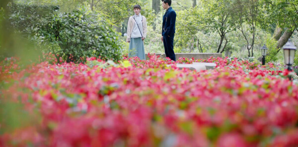 ���ľ�����֬͸�ּ��������