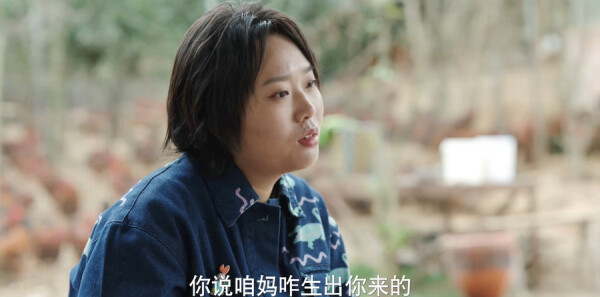 故乡,别来无恙分集剧情介绍