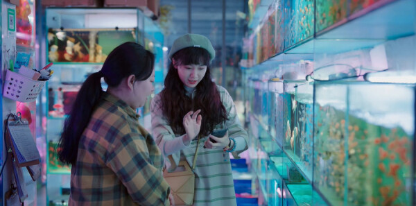 ���磬���������ּ��������