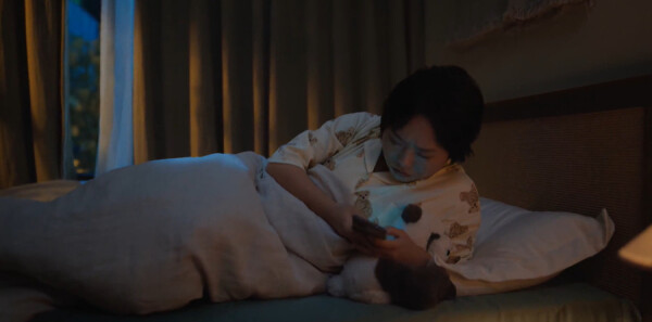 ���磬���������ּ��������