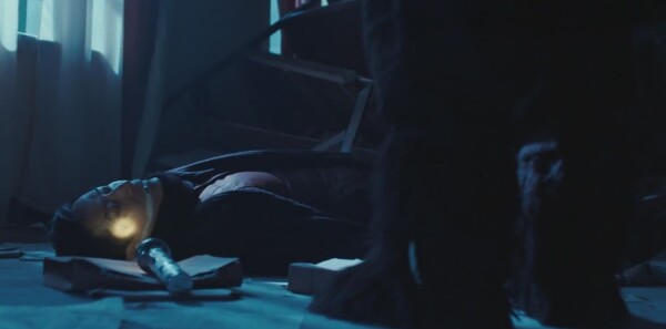 天坑鹰猎分集剧情介绍