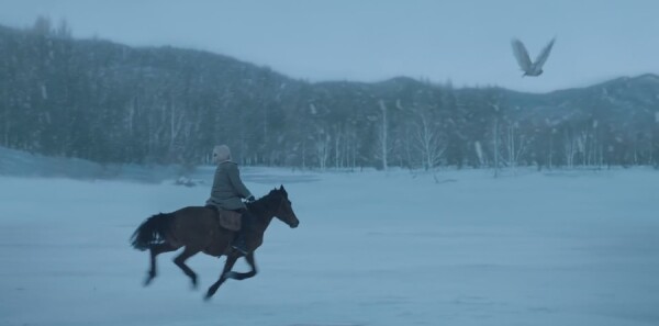 ���ӥ�Էּ��������