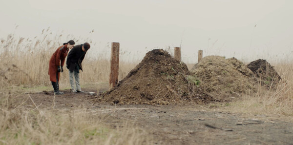 �䳲�ּ��������