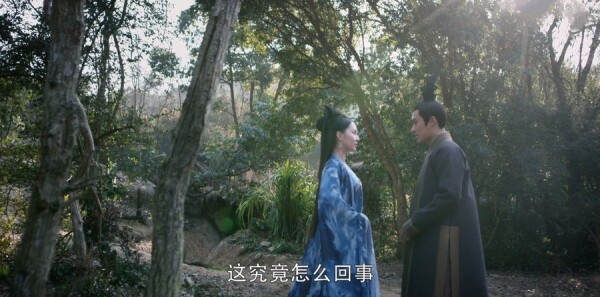 ������ּ��������