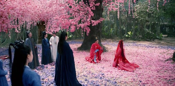 ������ּ��������