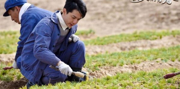 最美的青春分集剧情介绍