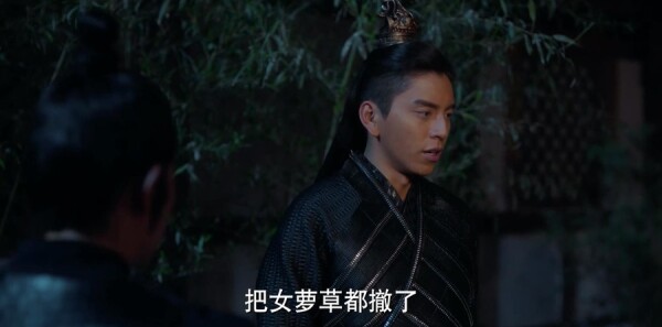 �ǵ��·ּ��������