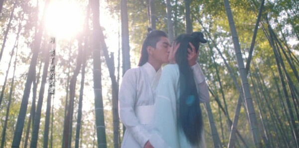 �ǵ��·ּ��������