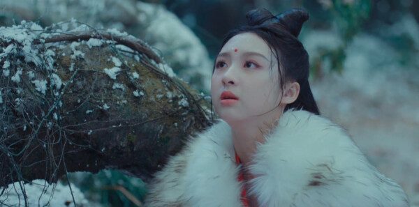 山有木兮木有心分集剧情介绍