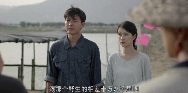 ��ɽ�Ǻ��ּ��������