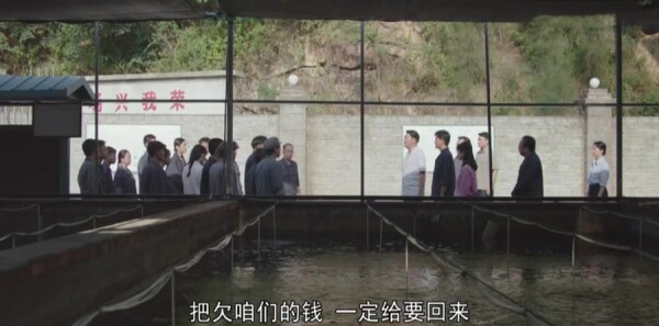 ��ɽ�Ǻ��ּ��������