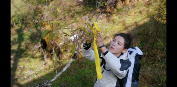 �Ϸ�֪����ּ��������