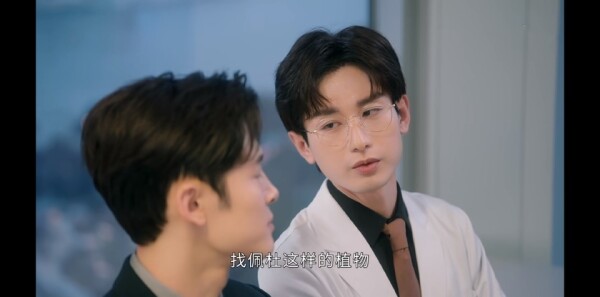 南风知我意分集剧情介绍