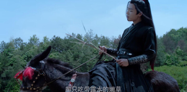 ������ּ��������