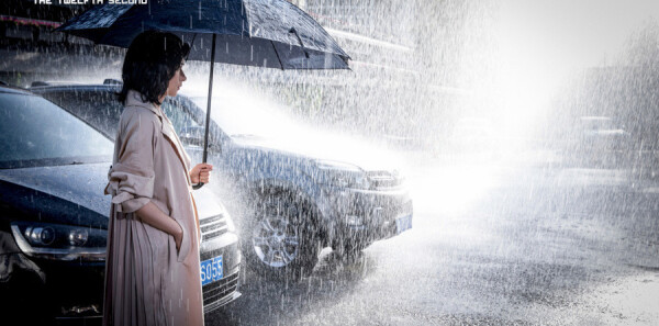 ��ʮ����ּ��������