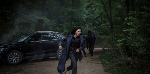 ��ʮ����ּ��������