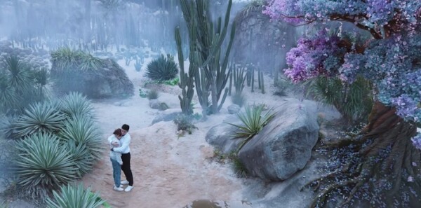 ��������·ּ��������