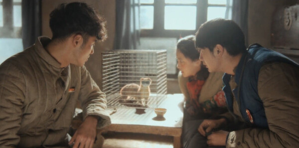 ������֮��Ƥ�ӷطּ��������