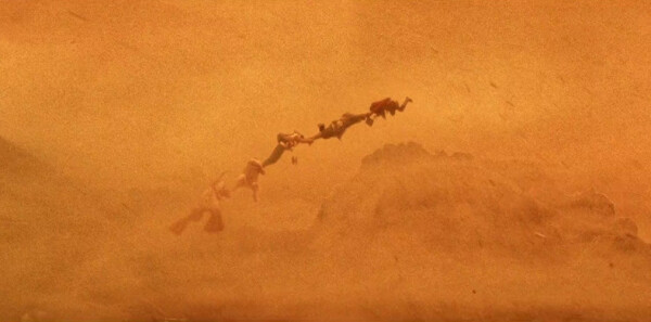 ������֮��Ƥ�ӷطּ��������