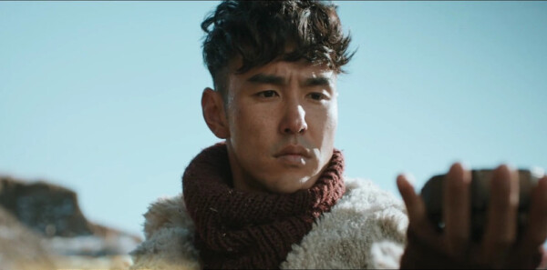 ������֮��Ƥ�ӷطּ��������