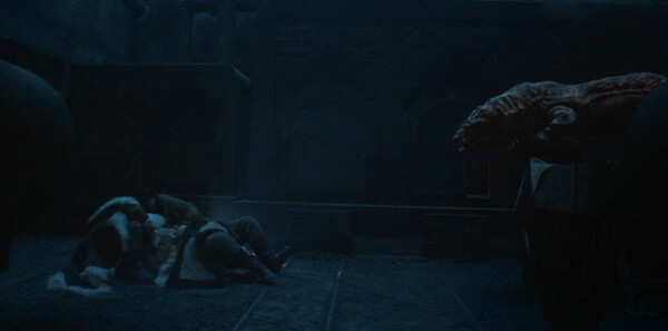 ������֮��Ƥ�ӷطּ��������