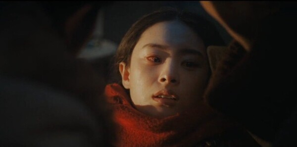 ������֮��Ƥ�ӷطּ��������