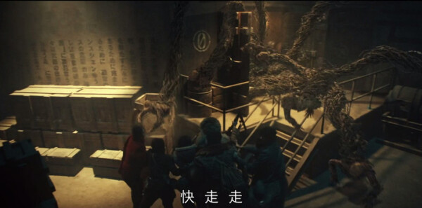 ������֮��Ƥ�ӷطּ��������