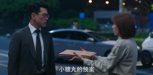 完美伴侣分集剧情介绍