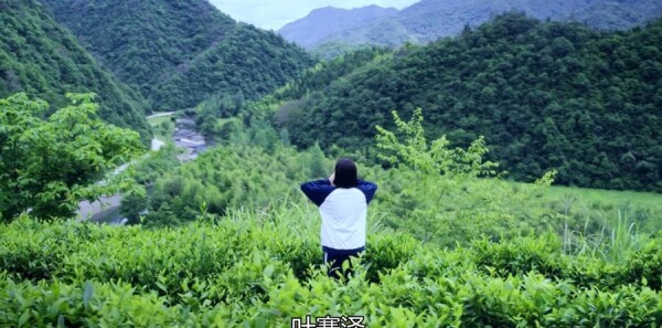 ɽ�²�֪�ĵ��·ּ��������