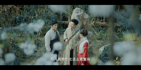 ��ͼ�ڷּ��������