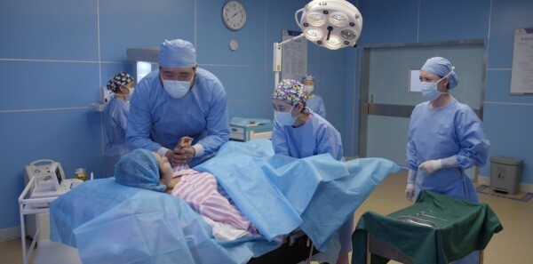 亲爱的生命分集剧情介绍