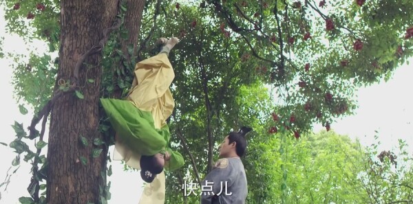 柜中美人分集剧情介绍