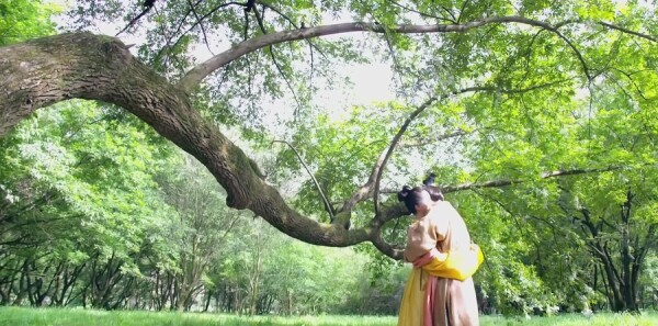 �������˷ּ��������