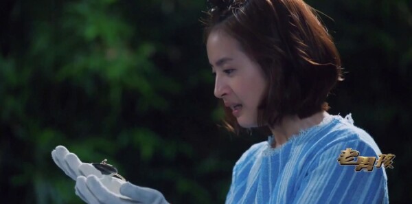 ���к��ּ��������