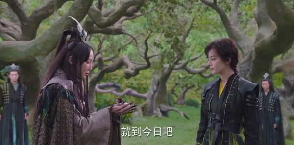 与君初相识分集剧情介绍