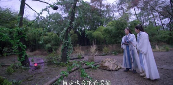 ��ǰ�����齣ɽ�ּ��������