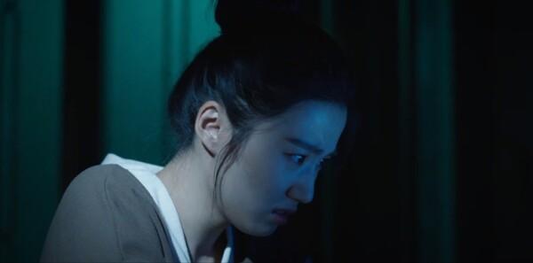 ȫ���綼�ڵ����Ƿ��ַּ��������