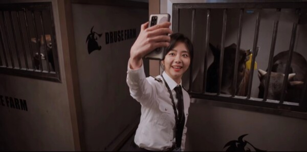 向风而行分集剧情介绍