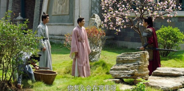 ���ϴ��ּ��������