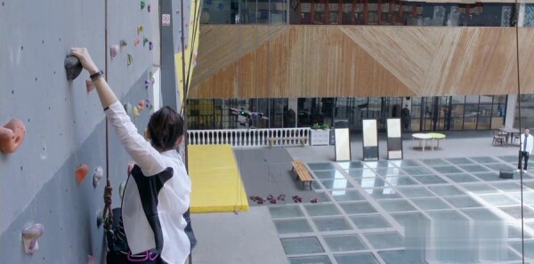 �Ϸ�����ľ�ּ��������