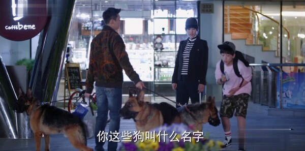 �Ϸ�����ľ�ּ��������