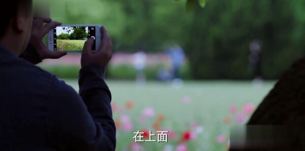 �Ϸ�����ľ�ּ��������